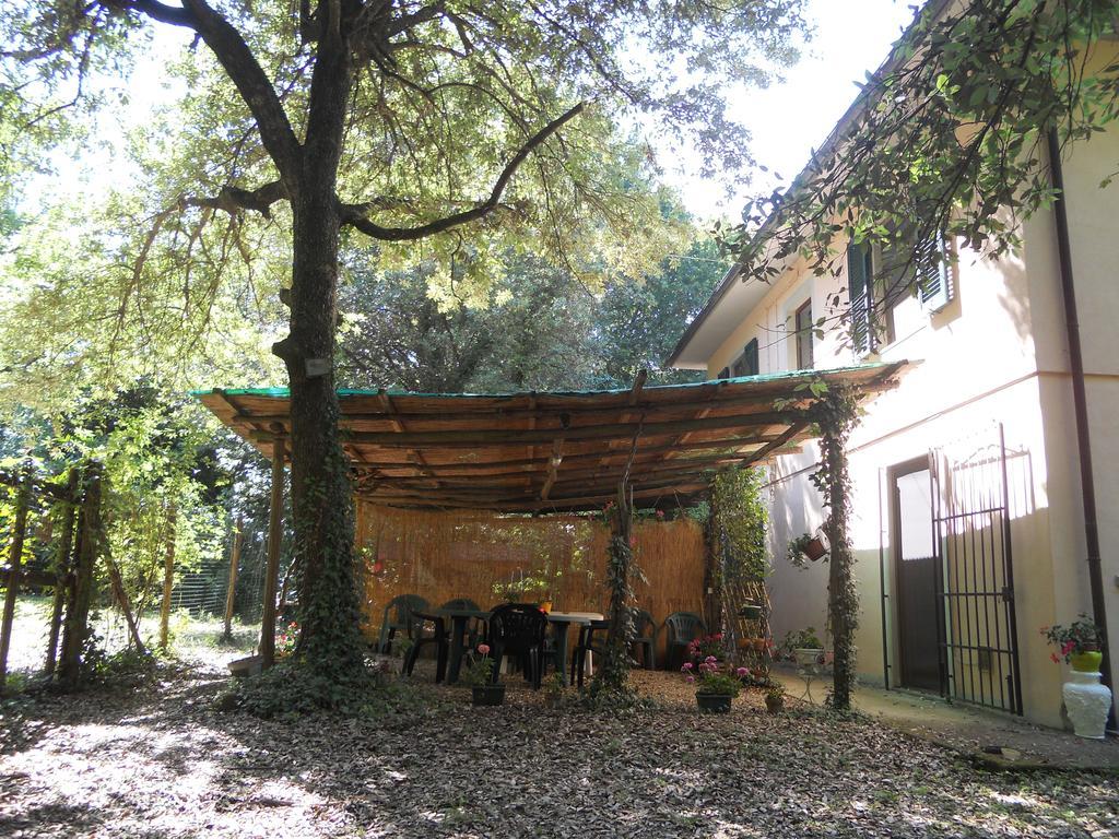 Park View Country House B&B Capannori Ngoại thất bức ảnh